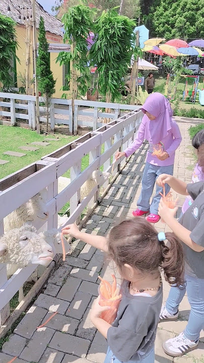 Nyuapin Kambing #anak #viral #shortvideo #shorts #viralvideo #tranding #subscribe #fyp #fypviralシ