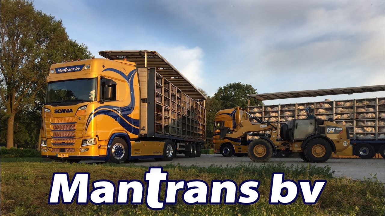 Mantrans bv - Uw logistieke partner in pluimveetransport