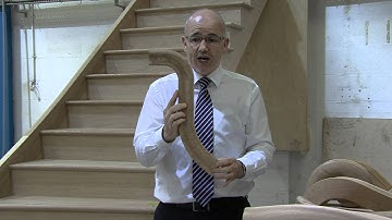 Haldanes Complex Handrails