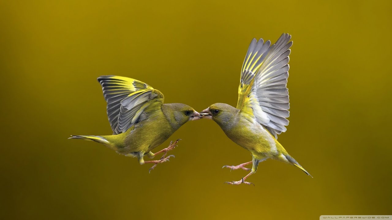 The Child In Us by Lan House Z