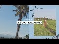 [수로그#3] ✈️ 제주도 브이로그 | Jeju Island Trip | 제주도 핫플레이스, 맛집 추천! | 수뷰티