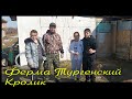 В Хозяйстве у Кости и Кати/Ферма Тургенский Кролик или как жарим Кролика на Коктале