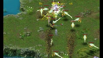 Cheaters Using hacks in deityland - Conquer Online