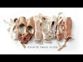 Pointe Shoe Fund: Chelsy | The National Ballet of Canada