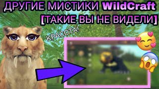 ДРУГИЕ МИСТИКИ WILDCRAFT 😍😮[ТАКИХ ВЫ ЕЩЁ НЕ ВИДЕЛИ] МОИ ИДЕИ😚