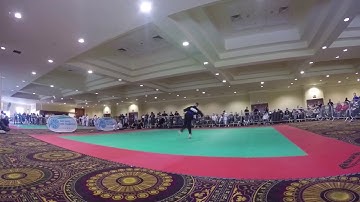 Wiktor Zwierzyński Open Hand Musical Forms - Irish Open 2017