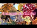 AUTUMN 2025 🍁 #japan #autumn #osaka 