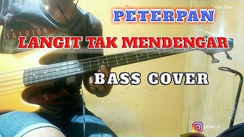 Peterpan Langit tak mendengar ||Bass cover