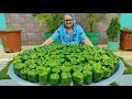 Shimla Mirch Recipe | Onion Capsicum Masala Recipe By Granny | Indian recipes | Veg Village food