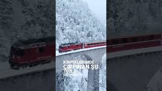 Ihanetin Adı Yok❤