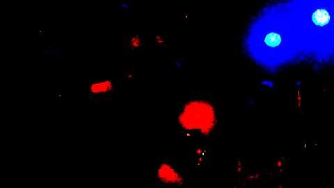 . Exit Calm , Hearts and minds , Roadhouse , Manchester , 1. 10 ,10