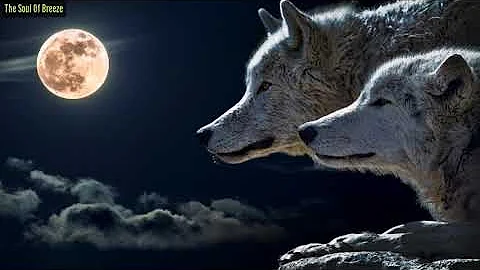 The Wolf And The Moon | Brunuhville | Relaxation Music