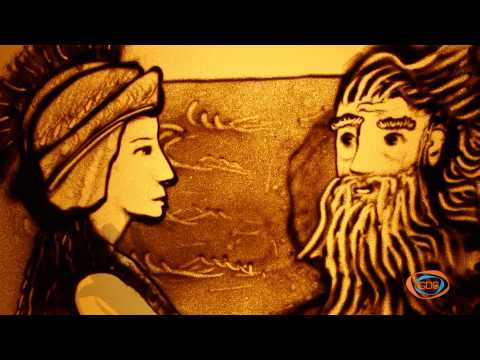 როგორ გაჩნდა ზეთისხილი STUDIO N