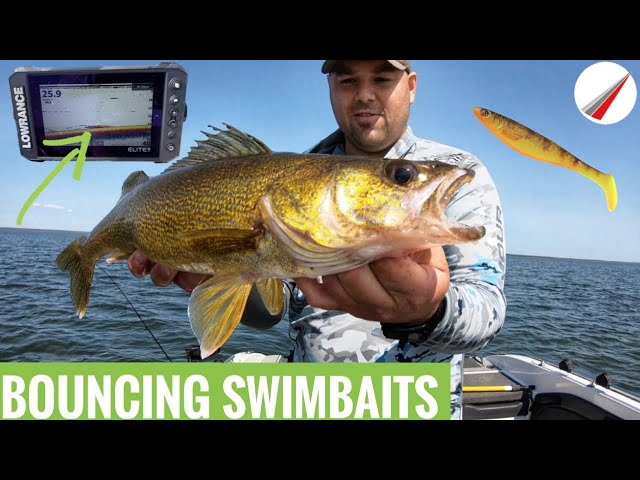 Bouncing Swimbaits For Walleye 