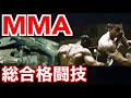 【世界の格闘技・武術基本講座】MMA！総合格闘技とはどんな格闘技なのか！