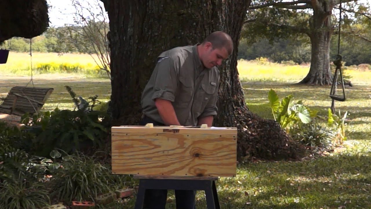 Assembly and Setup of Your Armadillo Trap 