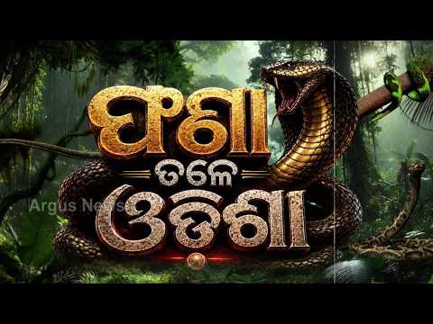 Snake Terror in Odisha: 1,859 Deaths in Just 2 Years! | Rising Snakebite Cases | Argus News