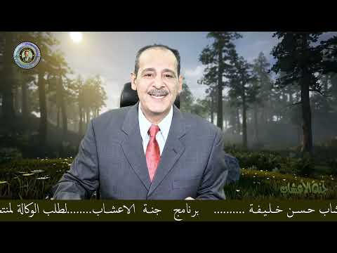 نجمه اليانسون او اليانسون النجمي مع خبير الاعشاب حسن خليفه رحمه الله تعالى وغفر له