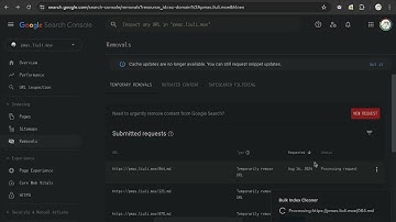 Google Search Console - Bulk Index Cleaner
