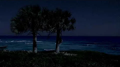 Sleeping By The Palm Trees With Soothing Ocean Sounds, Deep Sleep Video From Orchid Bay Beach