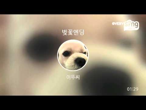 [everysing] 벚꽃엔딩