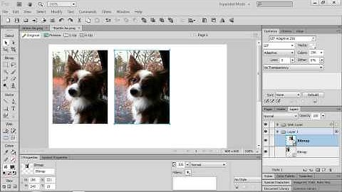Adobe CS6 Design Web Workflow 2012 Integrating with Fireworks 03  Creating a New File