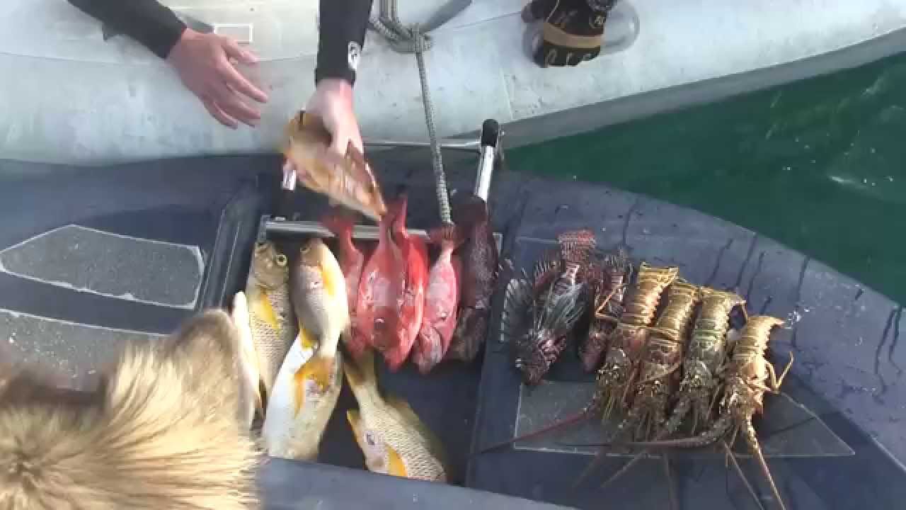 S/V Sea Wolf Episode-29 ISLE DE PROVIDENCIA,COLOMBIA