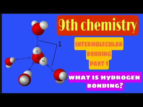Video: Forskjellen Mellom Intermolekylær Og Intramolekylær Hydrogenbinding