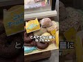 ミスドのドーナツ全種類買ったらお会計いくらになるの！？