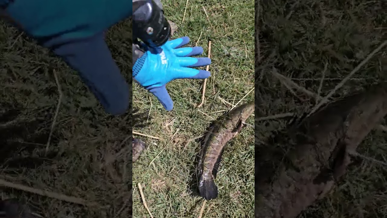 13 февраля 2026 г.