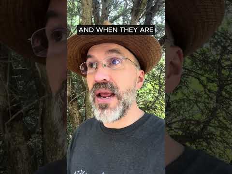 Sometimes Men are
