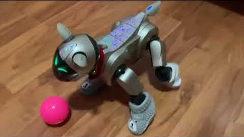 Aibo Japanese recognition software (Electro the aibo)