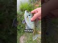 #fishing #bassfishing #fish #fyp #shorts