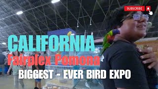 California Fairplex Pomona Biggest  Ever Bird Expo