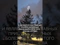 Почему вредно пить пиво?