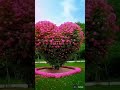 #viralvideo