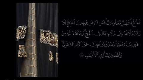 آيات من القرآن || الحج اشهر معلومات ..