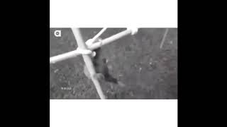 Baby Sloth Falling Remix