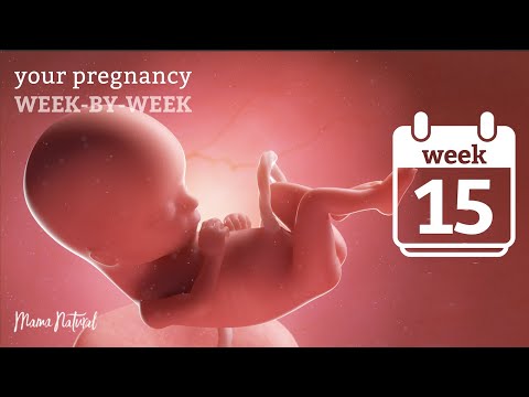 Video: 15 Weeks Pregnant - What Happens To The Baby And Mom? Fetal Size And Sensation