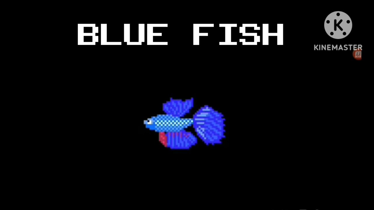 My color animals redesign- the kids picture show