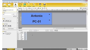 Brother P-touch label printers - How to print from a database