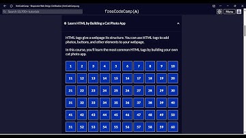 Learn HTML By building a cat photo app freeCodeCamp from 1 to 69