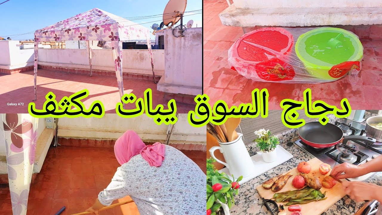 الروتين اللي نهار العيد يهنيك 🐏 طلعت الخيمة  🛖 بطبوط خبز بالزرارع 🫓 مقبلات 🥗 خليهم يضربو بيك المثل👌