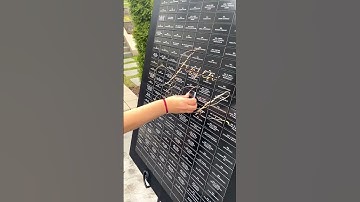 🎥 Looking for a creative way to display your seating assignments? Check out our PB-Informational vid