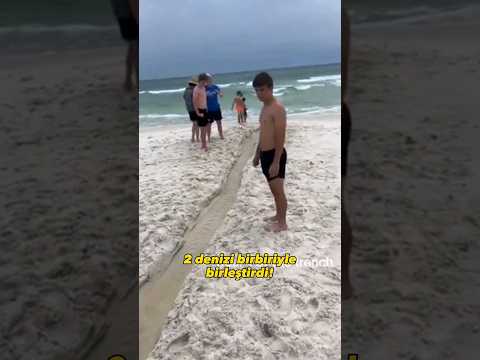 Video: Florida'da Deniz Kabukları Nerede Bulunur?