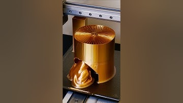 3D printed Hairy Lion