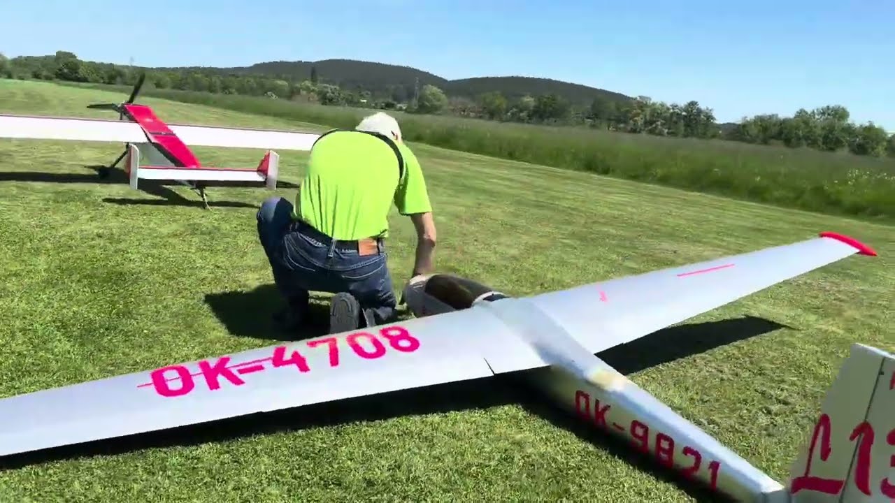 Fox Landung im Baum 🌳 F-Schlepp Blanik ASW