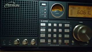Radio Delta Int (Netherlands), 6060,   2023.08.05,  18.27 UTC