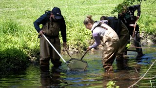 Freshwater Field Studies research