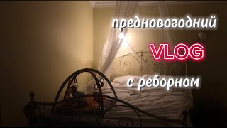 ПРЕДНОВОГОДНИЙ VLOG С РЕБОРНОМ КРИСОМ🎄🎊 || Happy new year 2024🎁